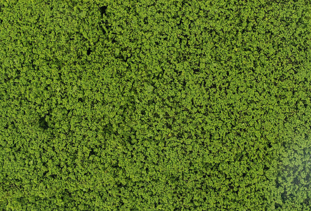 Faller 181625 HO/N/TT/Z May Green Leaf Foliage