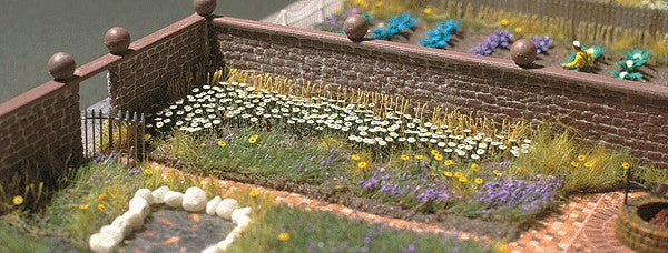 Busch 1207 Oxeye Daisies Plants (120)