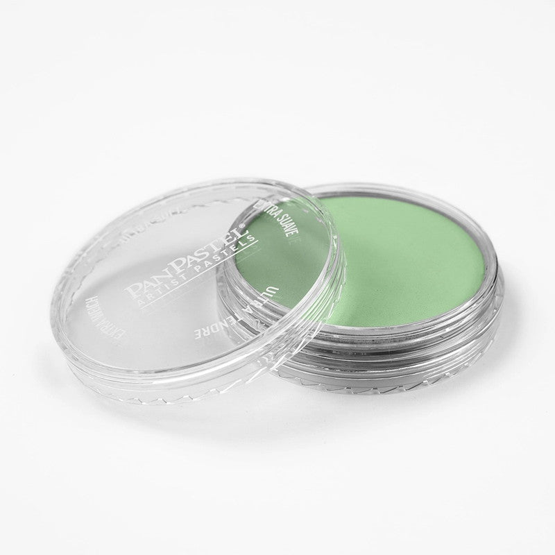 PanPastel 26607 Artist Pastel Chromium Oxide Green Light Pan