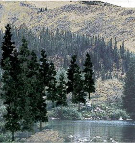 Woodland Scenics TR1581 4"- 6" Tall Conifer Colors Ready Made Trees (Pack of 24)