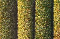 Busch 7220 40" x 32" Dark Green Large Flocked Grass Mat