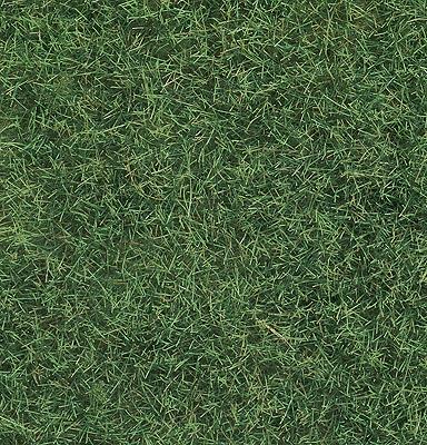 Noch 7102 Wild Grass - 1-3/4oz 50g