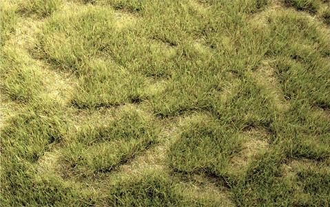 Heki 1841 Spring 17-1/2 x 6-1/2 44.5 x 16.5 cm Tuftgrass Pad