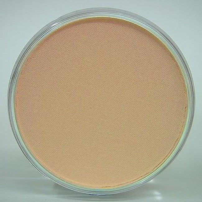 PanPastel 27408 740.8 Burnt Sienna Tint
