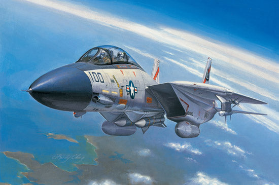 Hobby Boss Models 80276 1:72 Grumman F-14A Tomcat Military Aircraft Plane Kit