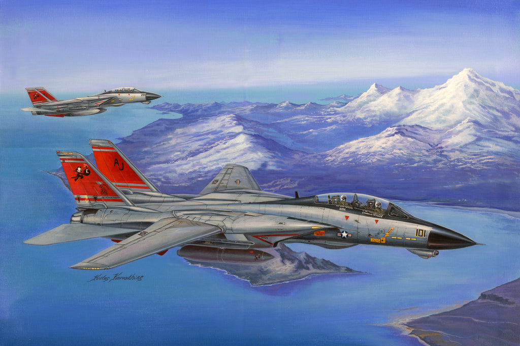 Hobby Boss Models 80368 1:48 F-14D Super Tomcat Military Aircraft Plane Kit