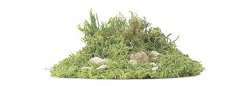 Busch 7350 Natural Moss 70g