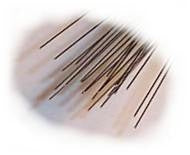 Ngineering N211210 Straightened Stainelss Steel Wire .012" (10)