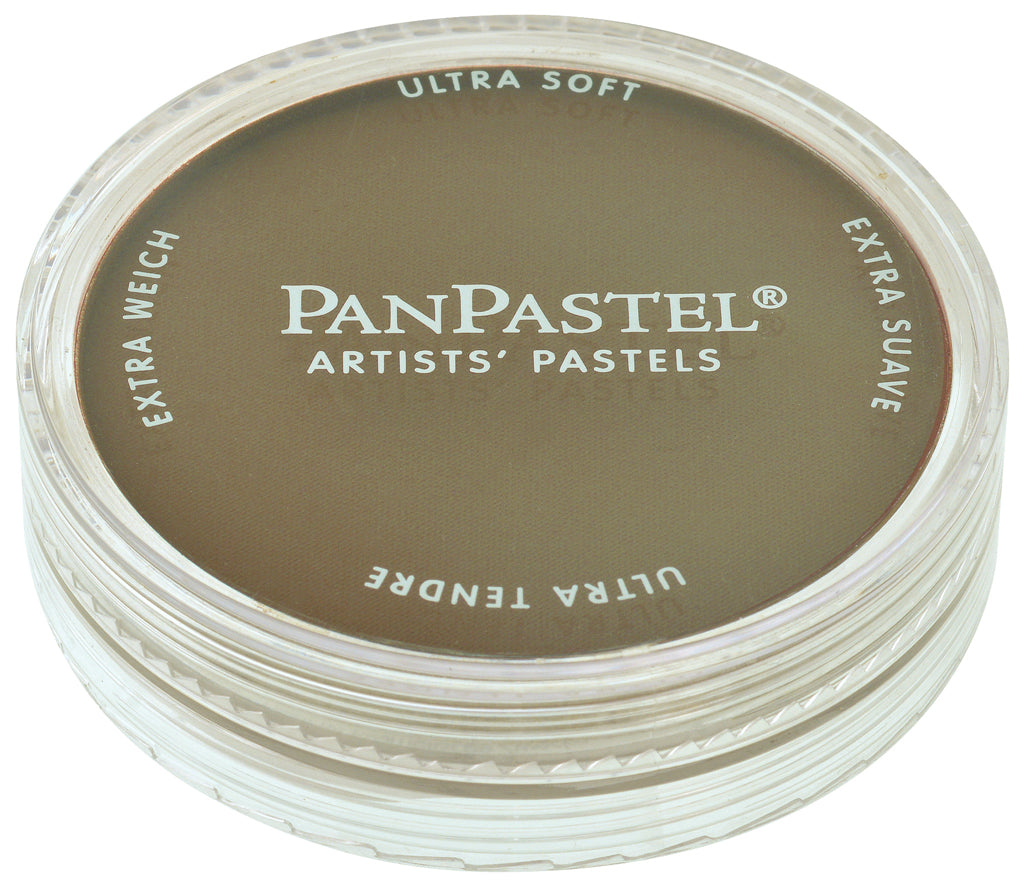 PanPastel 22701 270.1 Yellow Ochre Extra Dark