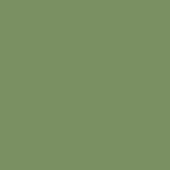 Mission Models MMP-079 RAF Interior Green Acrylic Paint - 1 oz. Bottle