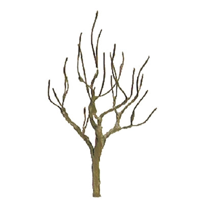 JTT Scenery Products 94112 N 2.5" Pro Armature Deciduous Tree (Pack of 4)