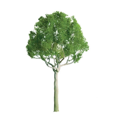 JTT Scenery Products 94248 Z 1" Pro Round-Head Tree (Pack of 6)