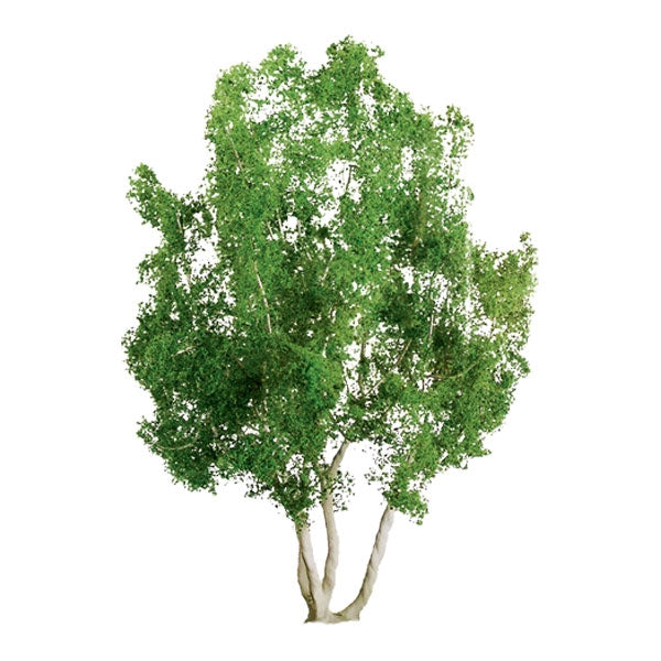 JTT Scenery Products 94255 N And HO 1.5" Pro Snow Gum Tree (Box of 4)