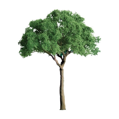 JTT Scenery Products 94286 N 2" Pro Green Jacaranda Tree (Pack of 4)