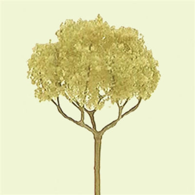 JTT Scenery Products 94321 N 2" Pro Basswood - Round Head Tree (Pack of 4)