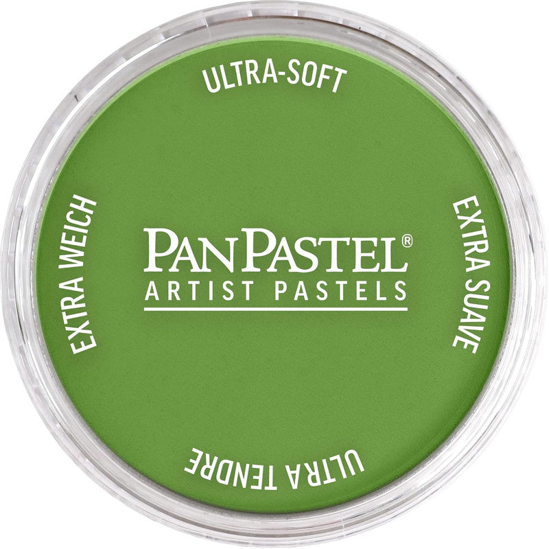 PanPastel 26903 Yellow Green Shade Ultra Soft Artist Pastel