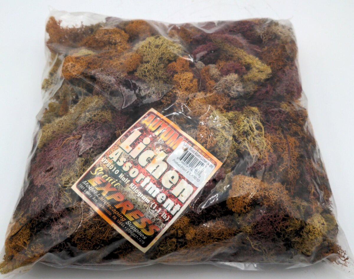 Scenic Express EX8010 Mixed Autumn Lichen - 1/2 Kg