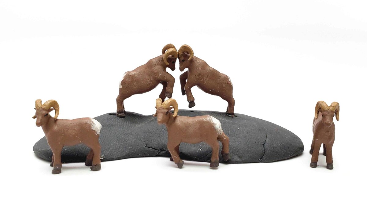 All Scale Miniatures 870989 HO Bighorn Sheep Figure (Set of 5)