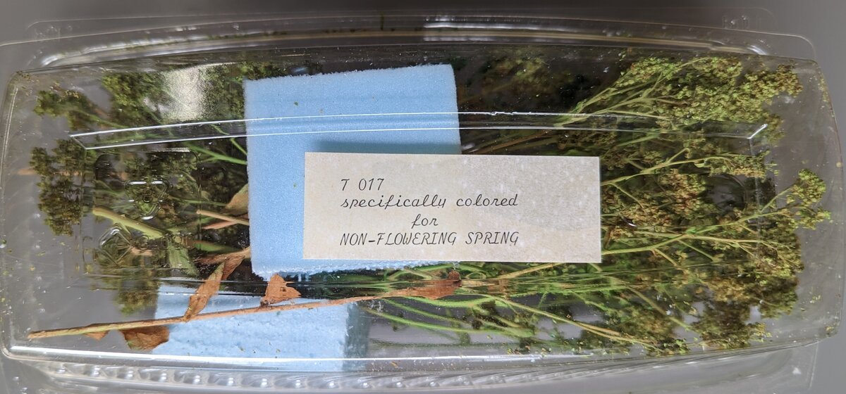 Forest In A Flash 017 HO Non-Flowering Spring Assortment