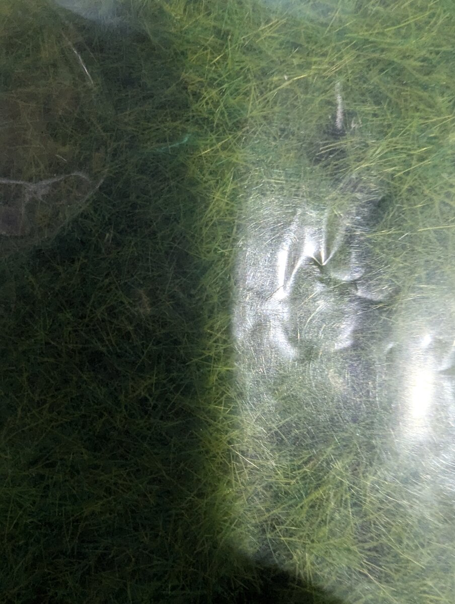 Serious Play SG01-48 Spring 30g Static Grass 4mm