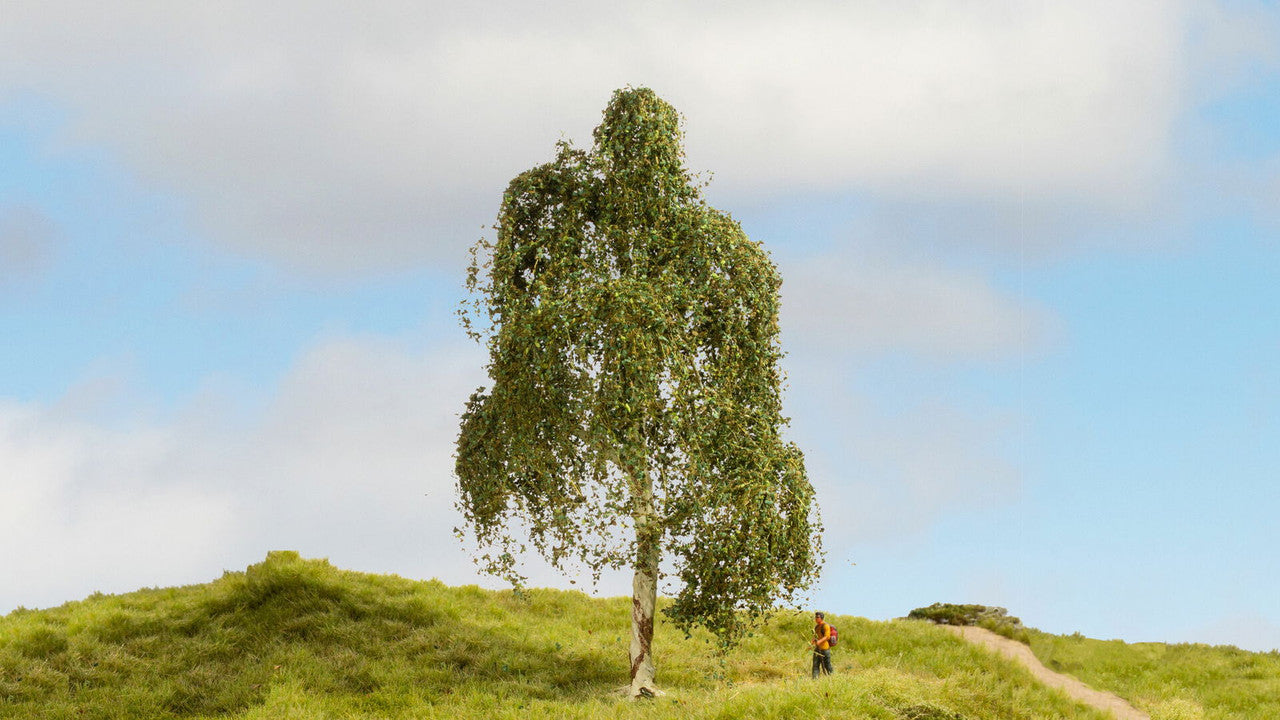 Noch 20120 HO/TT/N/Z/O/1/G 18 cm Silver Birch Tree