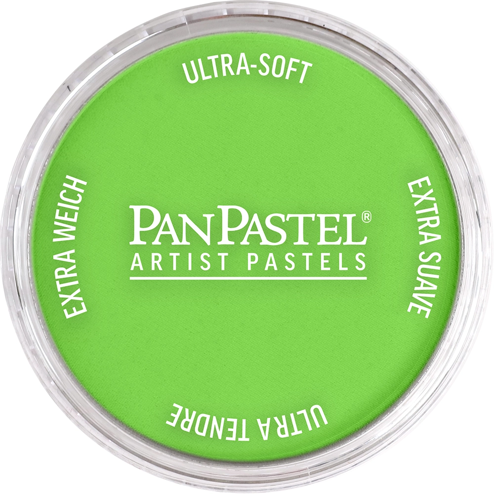 PanPastel 26907 Yellow Green Light Ultra Soft Artist Pastel