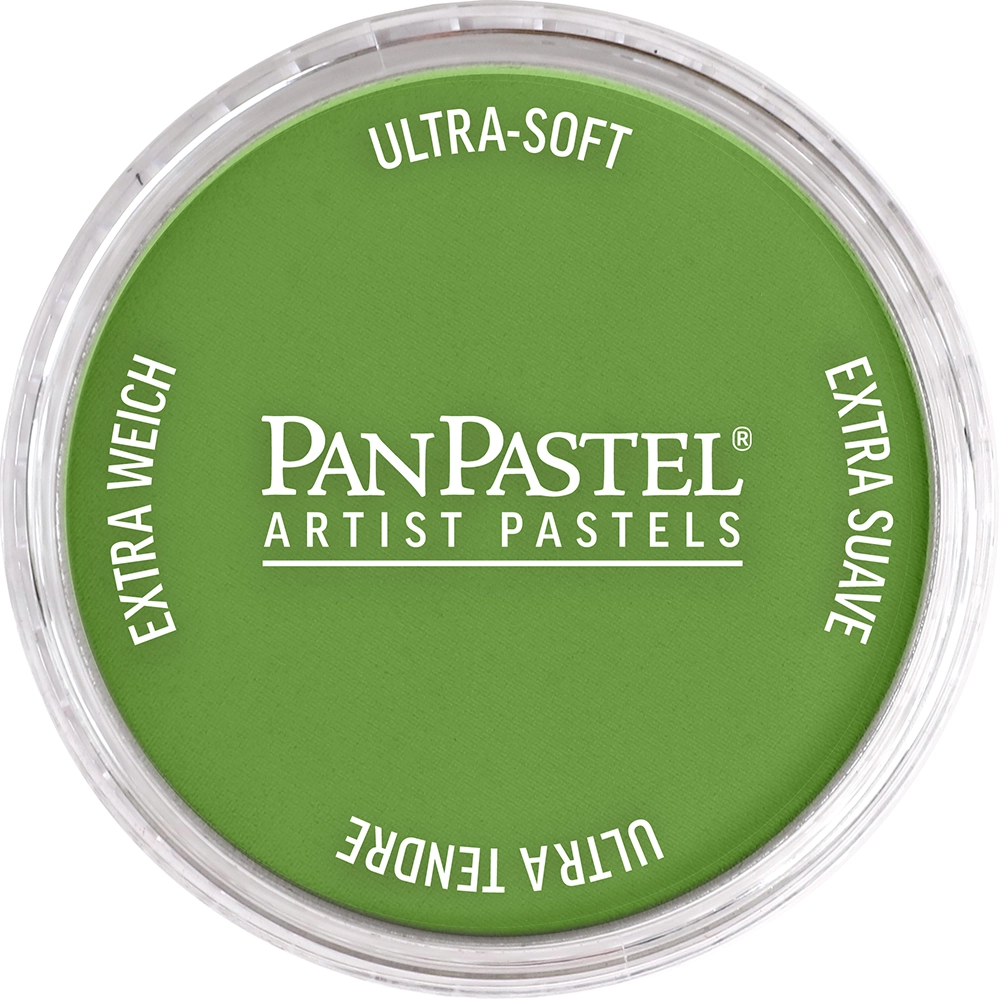 PanPastel 26903 Yellow Green Shade Ultra Soft Artist Pastel
