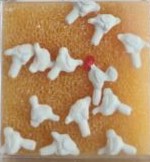 Dyna-Model 1502 HO Scale Rooster & 12 Hens Figures