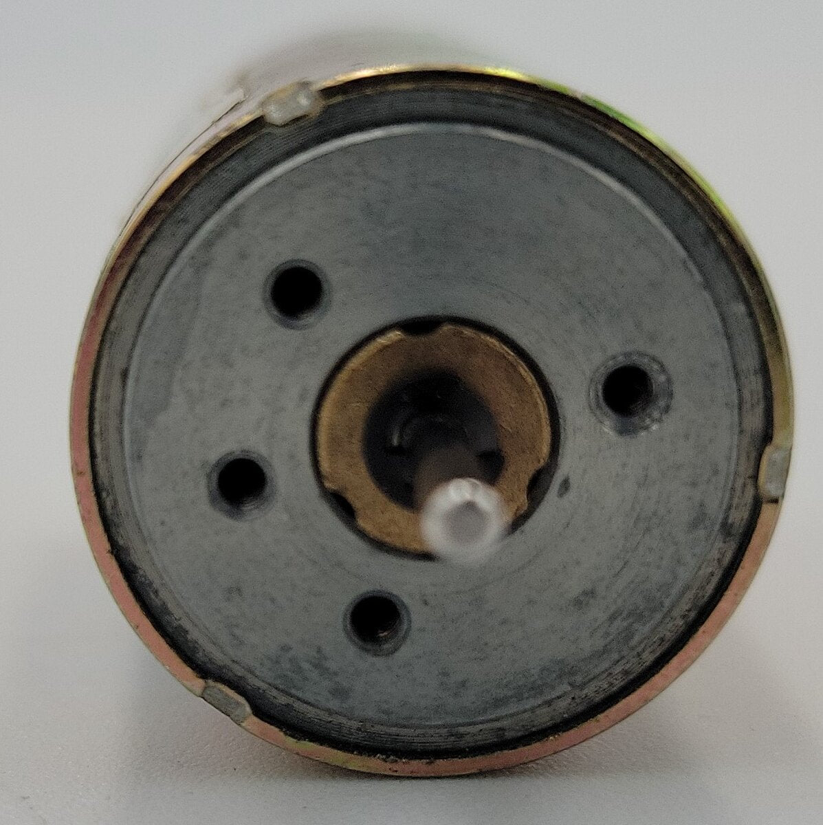 Premotec 990412022112 12 Volt Brushed DC Motor