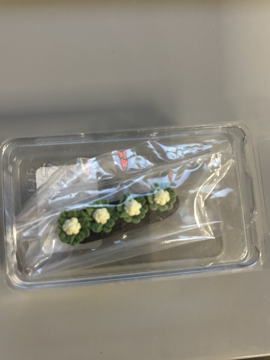 Scenic Express FC1698 O-Scale Cauliflower Garden Row