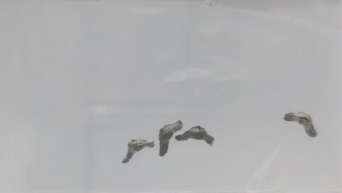 Master Creations 750 HO Scale Undecorated Metal Pigeons (Pack of 4)
