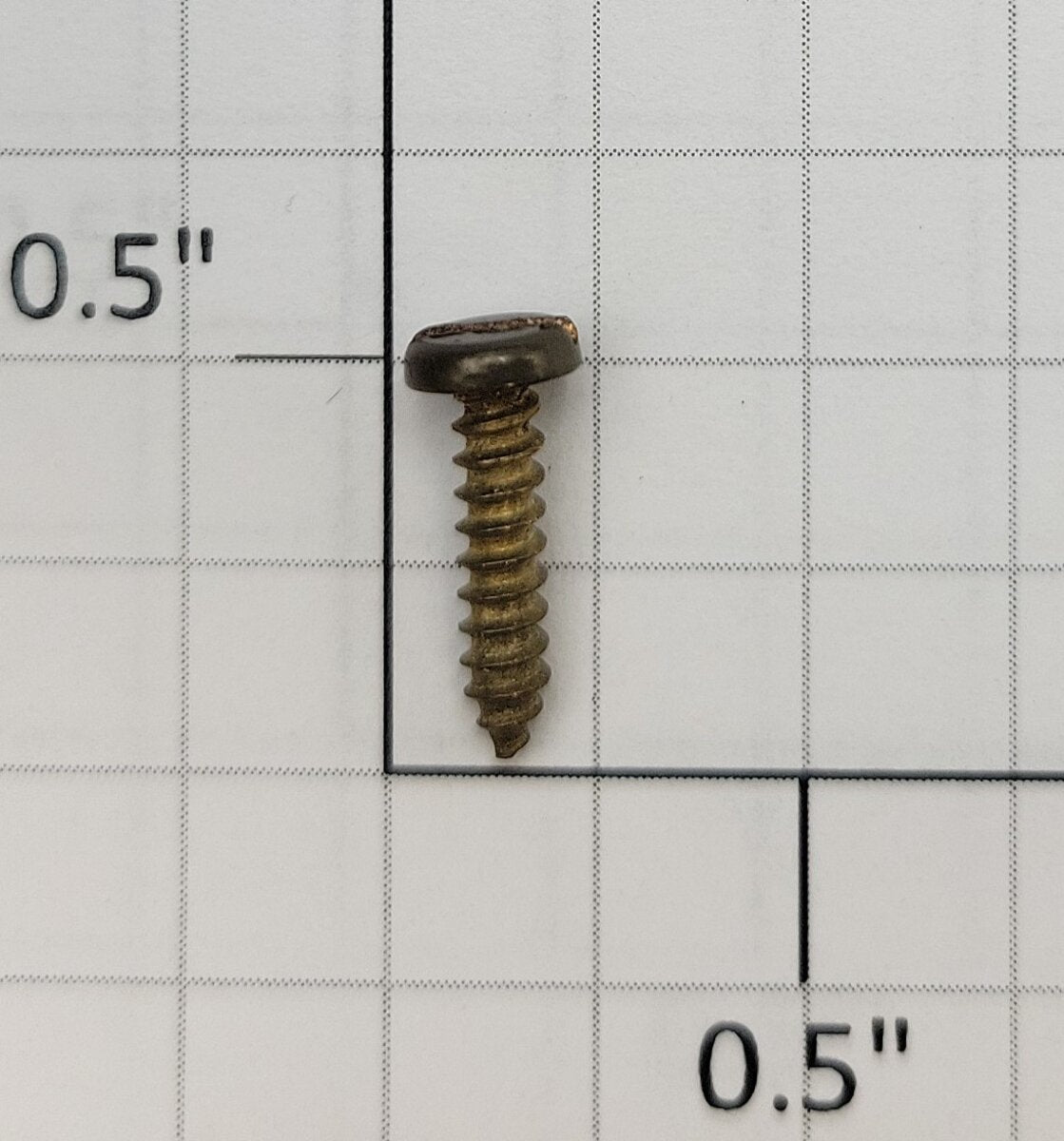 Acme #4 x 1/2" Brass Plated Pan Head Slotted Self Tapping Screw