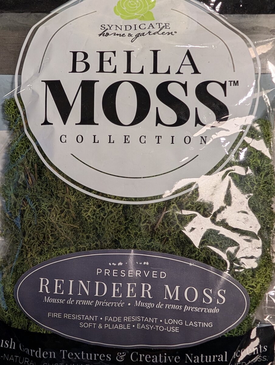 Syndicate 1406-12-1081 Bella Moss Preserved Reindeer Moss 80 Cu In (Dark Green)