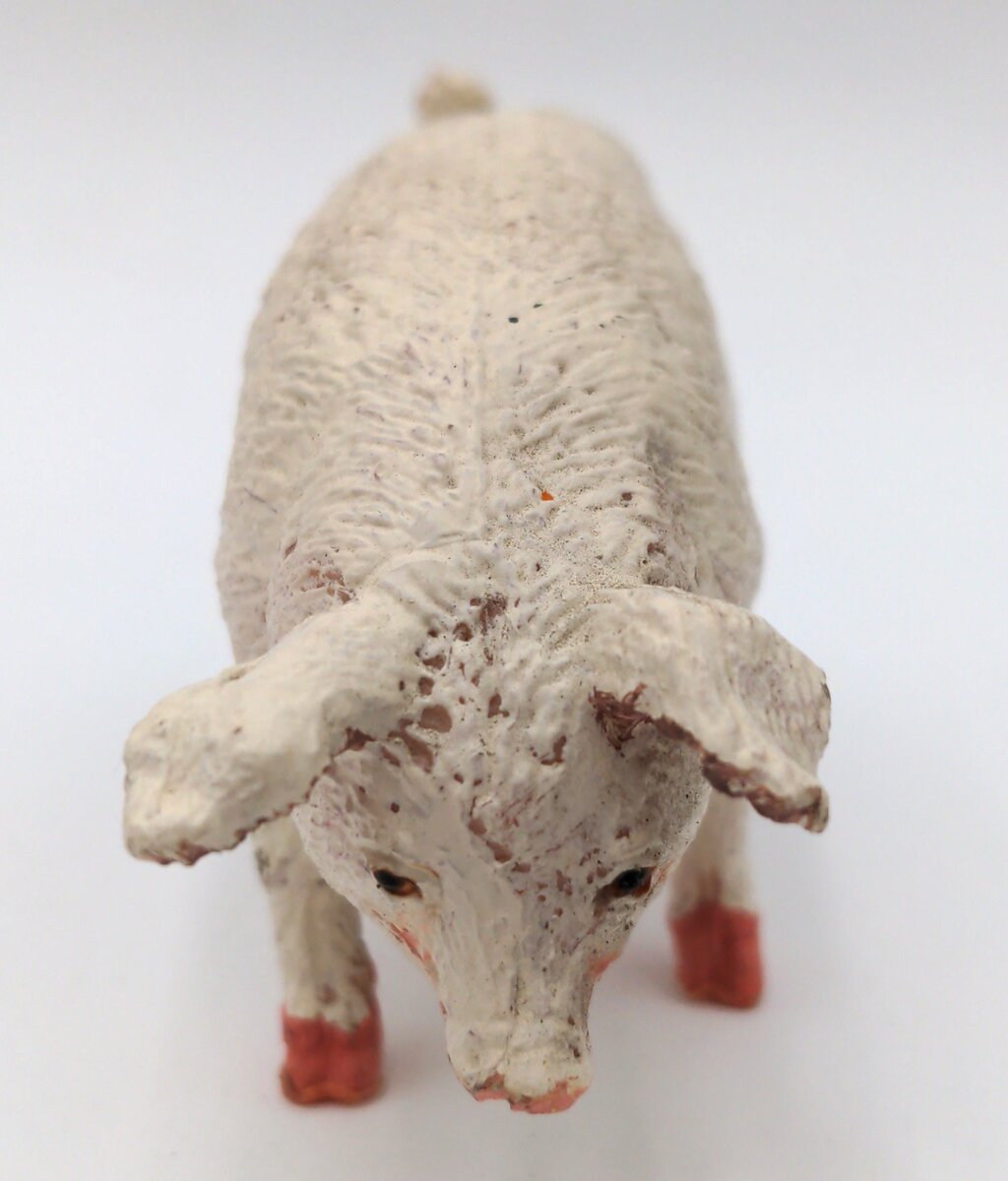 Schleich White Pig