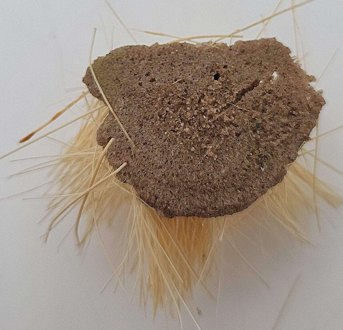 JG Miniatures S33 Scenic Range Long Dry Grass LN/Box