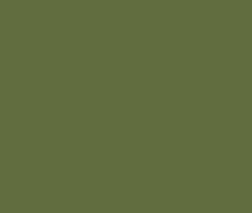 AK Interactive 11311 AFV Series: Reseda Green RAL6011 17ml Acrylic Paint Bottle