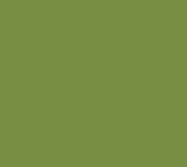 AK Interactive 11411 Figures: Light Green 17ml Acrylic Paint Bottle
