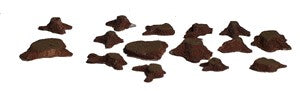 Model Railstuff 1 Tree stumps assorted n Scale