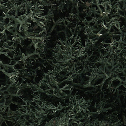 Woodland Scenics L164 Dark Green Lichen 86.6 In Cu Bag