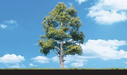 Woodland Scenics TR3531 0.75" - 1.25" Waters Edge Deciduous Trees (Pack of