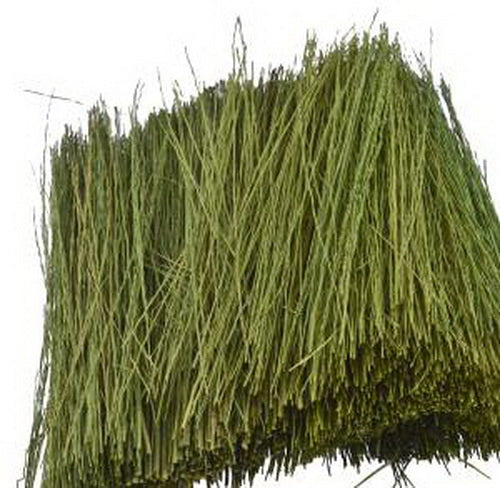 JTT Scenery Products 95086 Field Grass Light Green