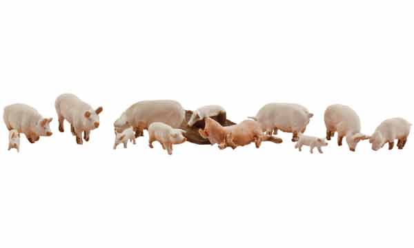 Woodland Scenics A1957 HO Scenic Accents Yorkshire Pig Figures (Set of 12)