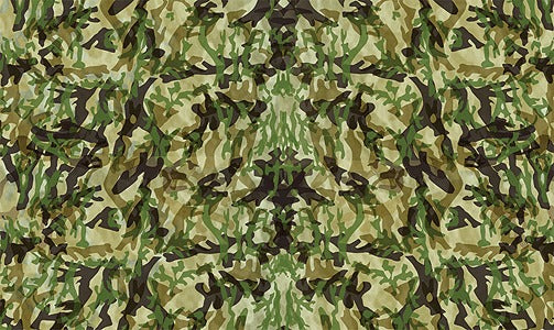 PineCar P3978 Camouflage Body Skin Custom Transfer