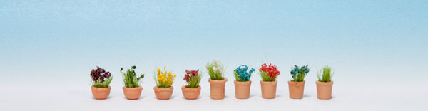 Noch 14084 N Ornamental Plants in Flower Pots (Pack of 9)