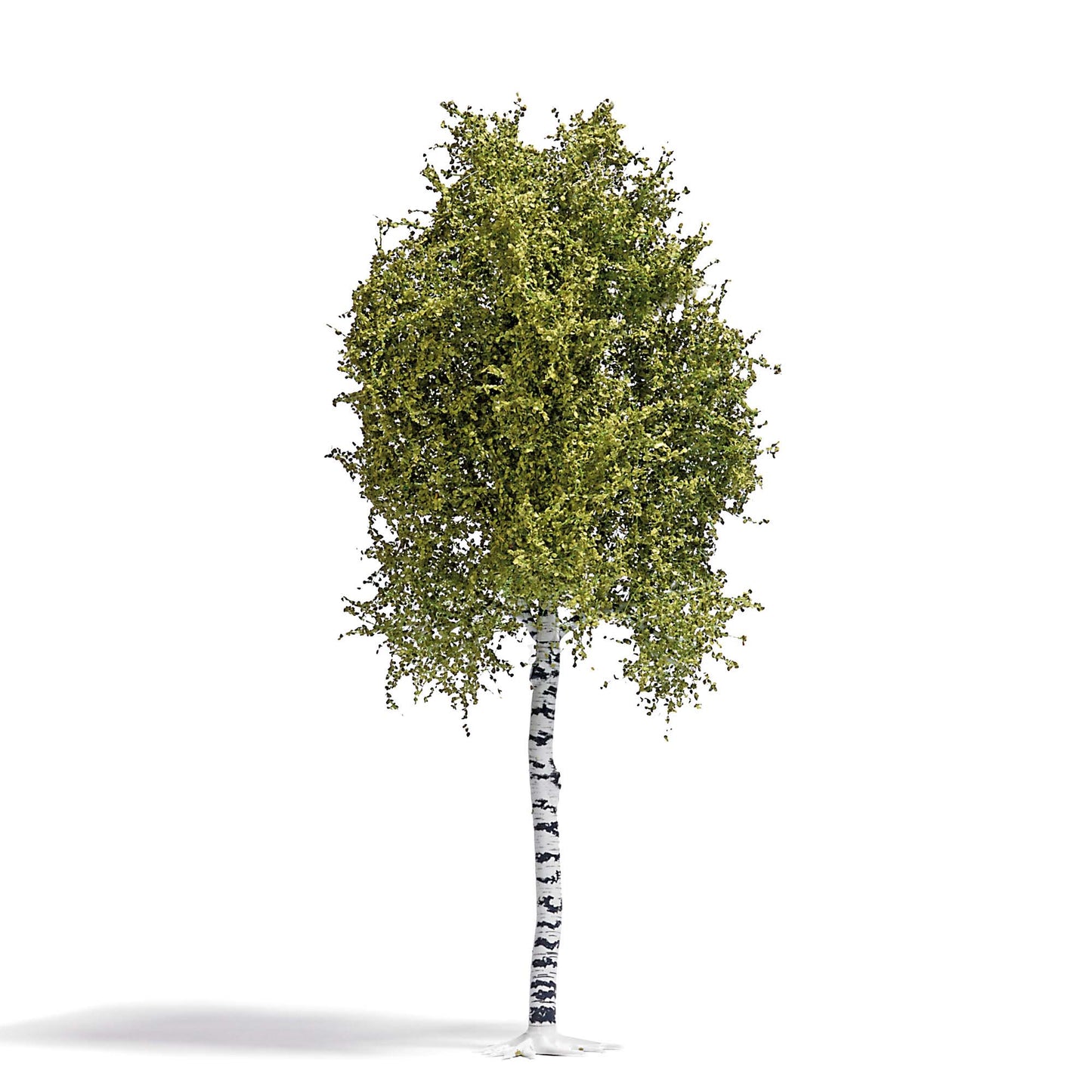 Busch 3781 6.7" Spring Birch Tree