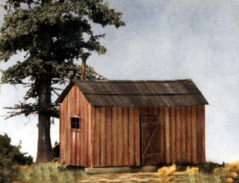 B.T.S. 27425 HO Logging Bunkhouse (3)
