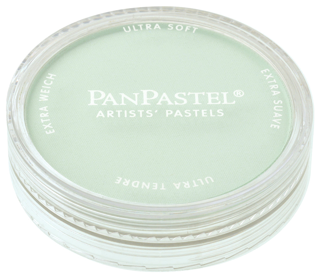 PanPastel 26408 640.8 Permanent Green Tint