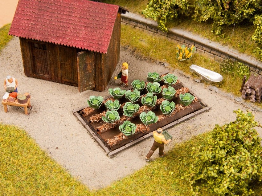 Noch 13217 HO White Cabbage (16)