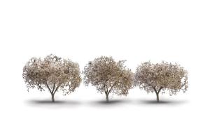 Woodland Scenics TR3594 1 3/4 - 2 1/4 Cherry Blossom Trees (Pack of 3)