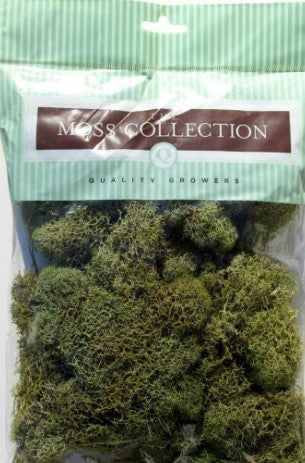 Quality Growers 10284153 HO Reindeer Moss Spring Green 108.5 Cu Inches